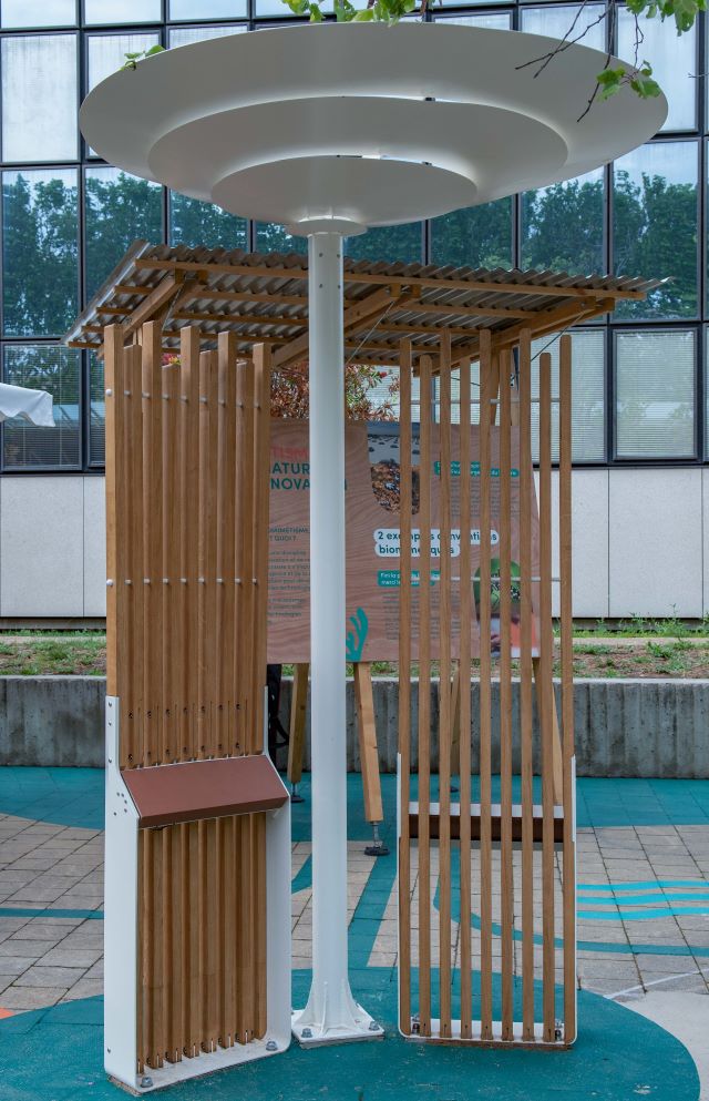 Prototype arrêt Biomimetisme Cactus Pineus 1